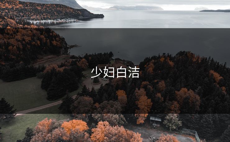 少妇白洁